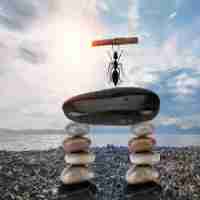 ai精﻿准‍定​位​是﻿什‍么﻿意​思﻿